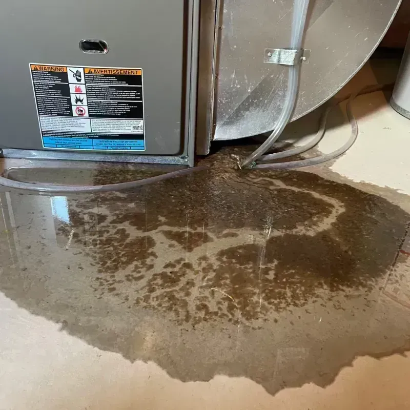 Appliance Leak Cleanup in Brooks, ME